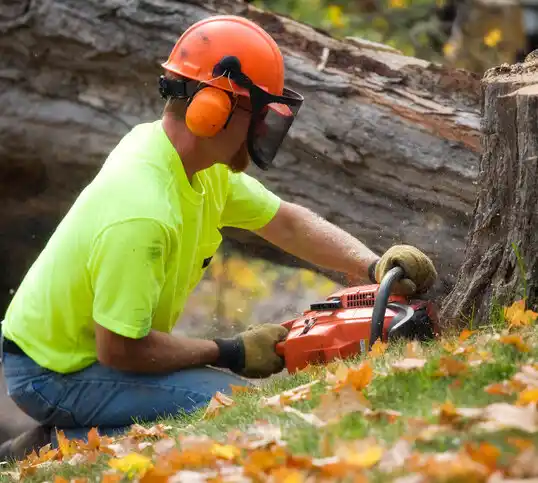 tree services Glenarden